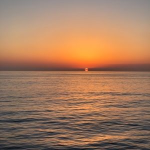 Meet your Posher, Gabby